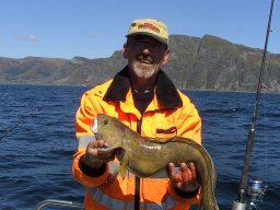 Norwegen 2008 Rundereim